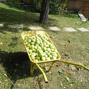 DSCN7631.JPG