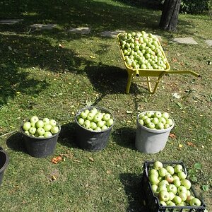 DSCN7640.JPG