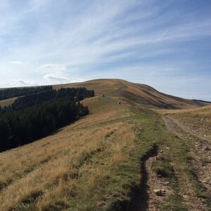 IMG_0220.jpg