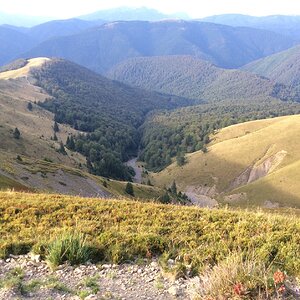 IMG_0271.JPG