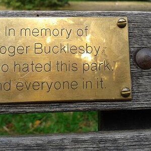 Roger.jpg