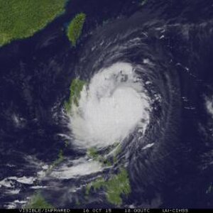 MOV8-4.24W.jpg