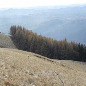 DSCN8091.JPG