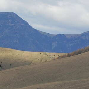 DSCN8092.JPG
