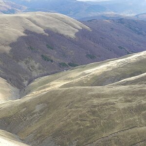 DSCN8110.JPG