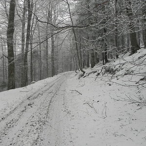DSCN8153.JPG
