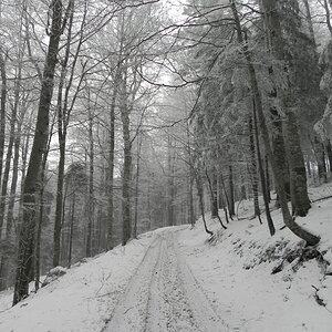 DSCN8157.JPG