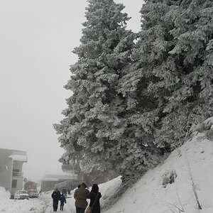 DSCN8158.JPG
