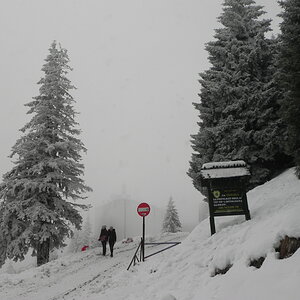 DSCN8186.JPG