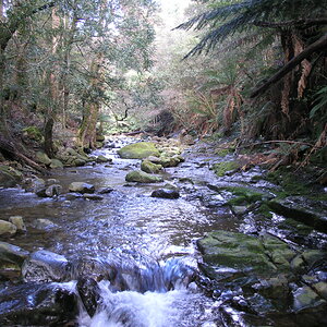 PA100357.JPG