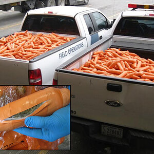 Camberwell carrots.jpg