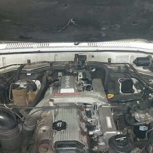 20160121_195408.jpg
