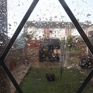 Rain 001.JPG