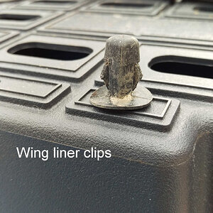 Wing Clip.jpg