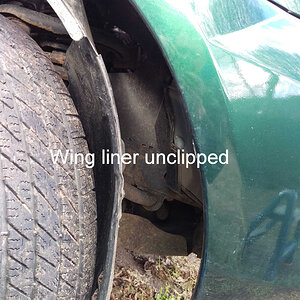 Liner unclipped.jpg
