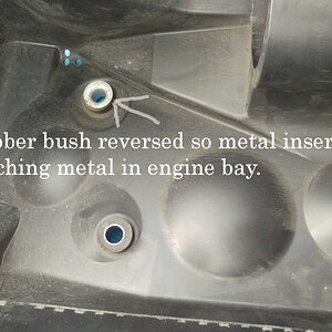 Metal insert reversed.jpg