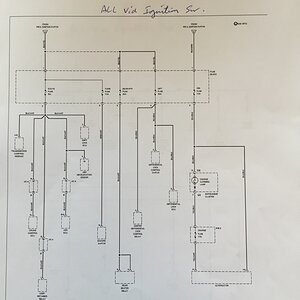 ImageUploadedByTapatalk1456059046.714450.jpg