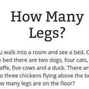 Legs.jpg