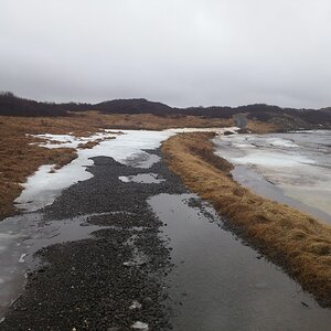 20160321_150354.jpg