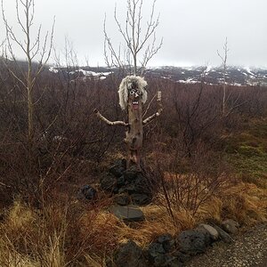20160321_160722.jpg