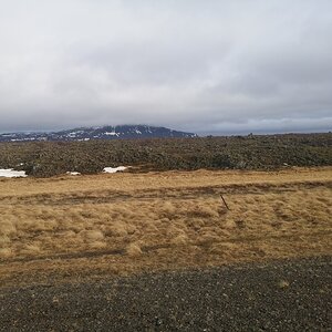 20160321_164625.jpg