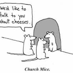 cheese.jpg