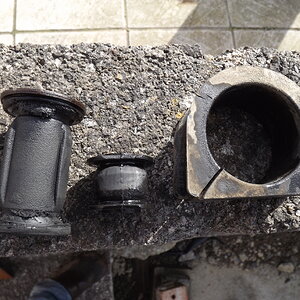Rack bushes 001.JPG