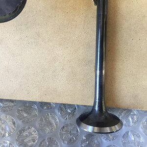 12ht head 002.JPG
