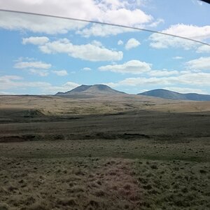 DSC_0706.JPG