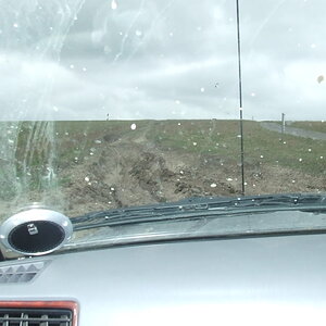 DSCF5556.jpg