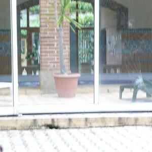 P1000624.jpg