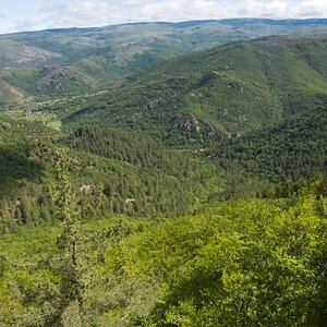 DSC_0088.jpg