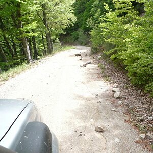 P1000780.jpg