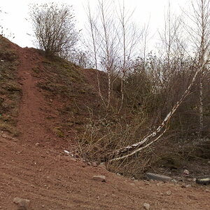 10032010799.jpg