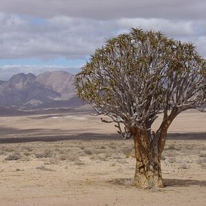 richtersveld_02.jpg