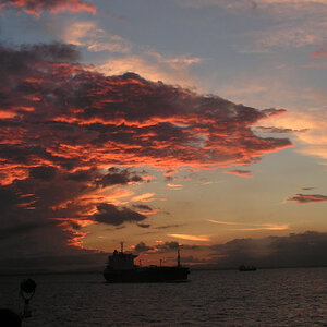 PICT6783.JPG