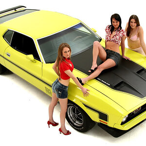 Picture-144.jpg