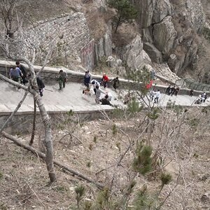 Chinesemancarrygoodsupsteps.jpg