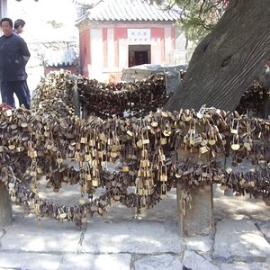 Manylocksfrompreviouscouples-1.jpg