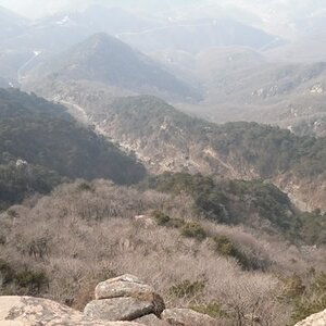 Lookingdowntothesteps-1.jpg