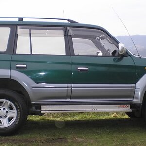 P1010006-1.jpg