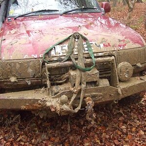 Muddy-1.jpg