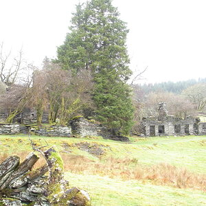 DSC02690.jpg