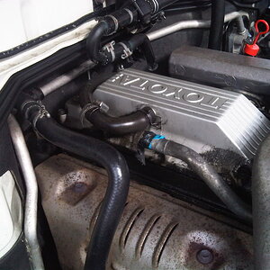IMG00080-20100505-1631.jpg
