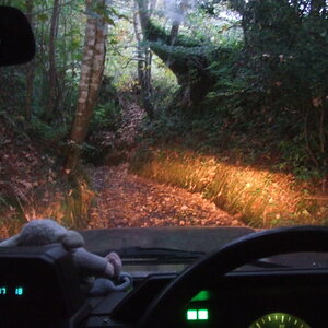 DSCF5442.jpg
