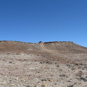 IMG_3320.jpg