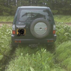 IMG00222.jpg