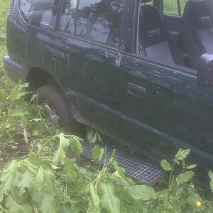 IMG00223.jpg