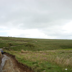 DSC00975.jpg