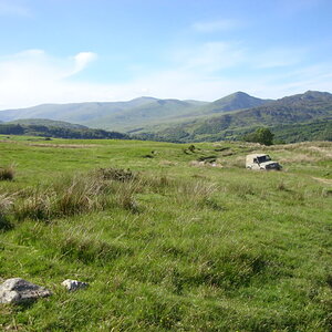 DSC01062.jpg